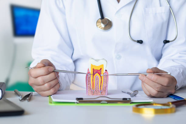 Best Walk-In Emergency Dentist in Riverdale, IL
